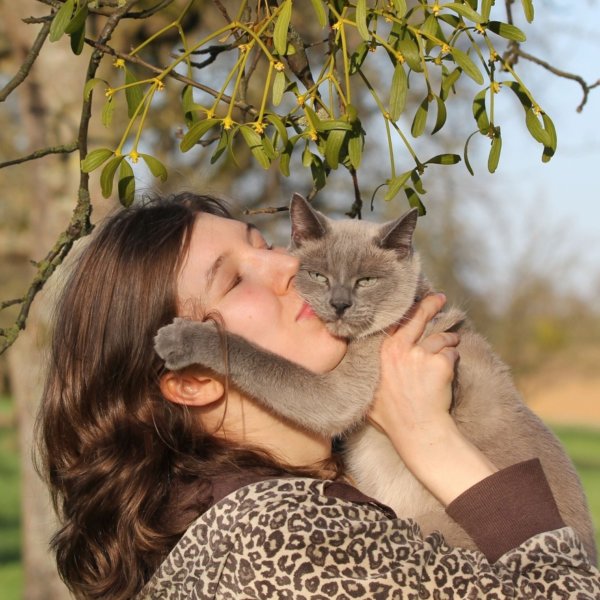 Wie Und Warum Schnurren Katzen Katzen Net